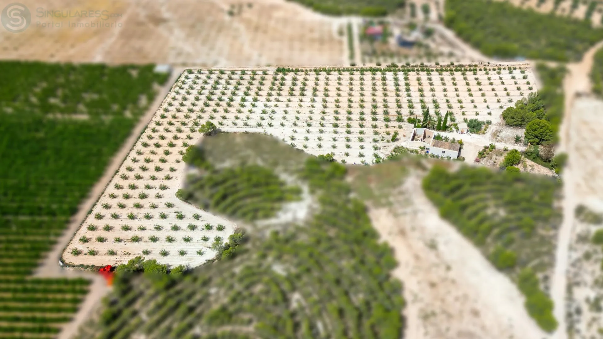 Comprar casa de 12200m² en Cieza