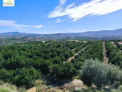 Comprar terreno de 175000m² en Murcia