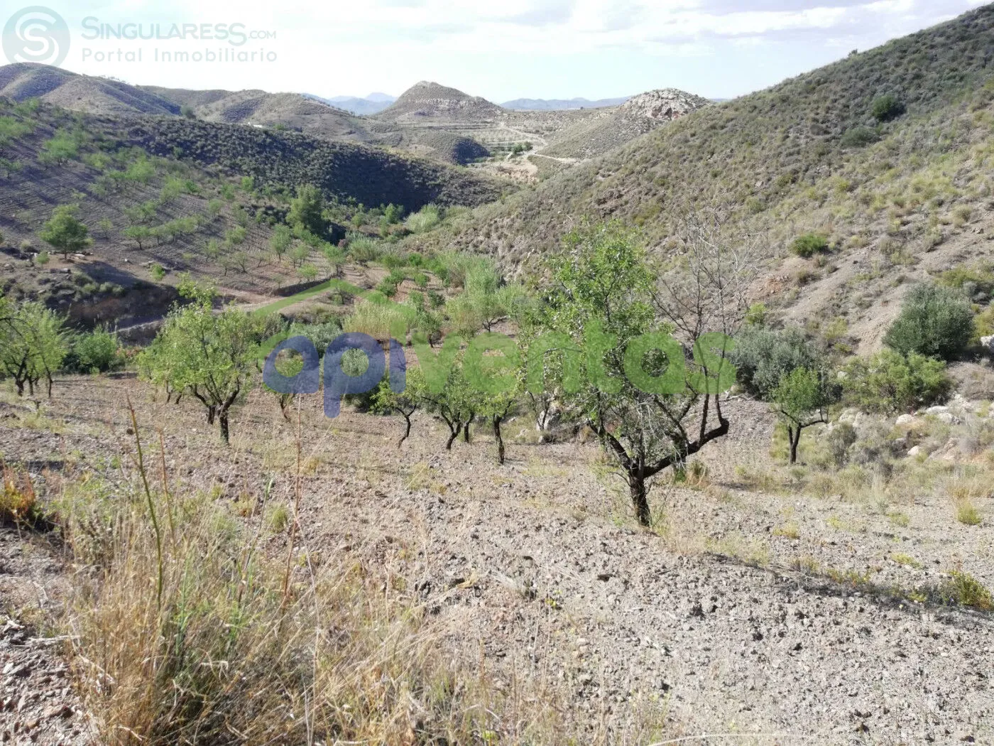 Comprar casa de 50000m² en Lorca