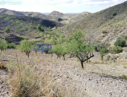 Comprar casa de 50000m² en Lorca