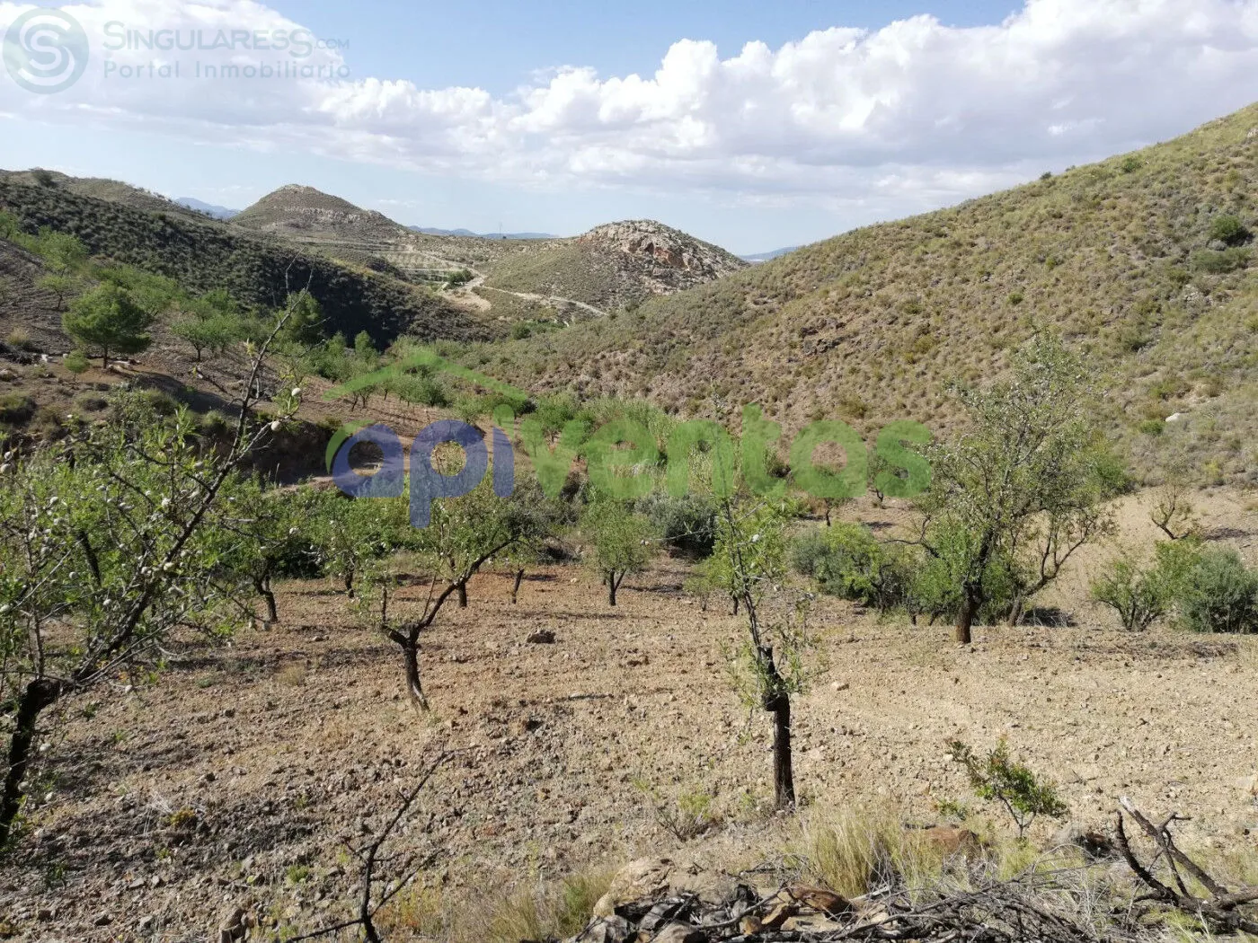 Comprar casa de 50000m² en Lorca