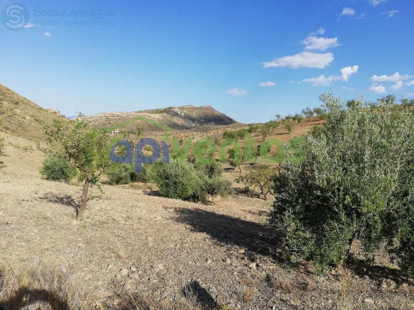 Comprar casa de 50000m² en Lorca
