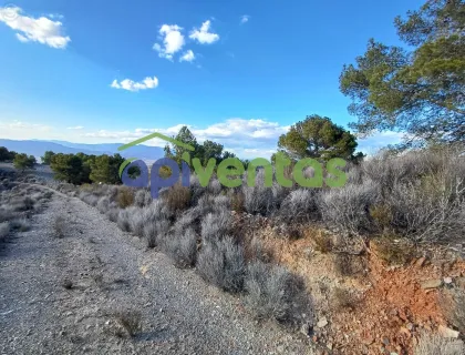Comprar terreno de 463748m² en Lorca