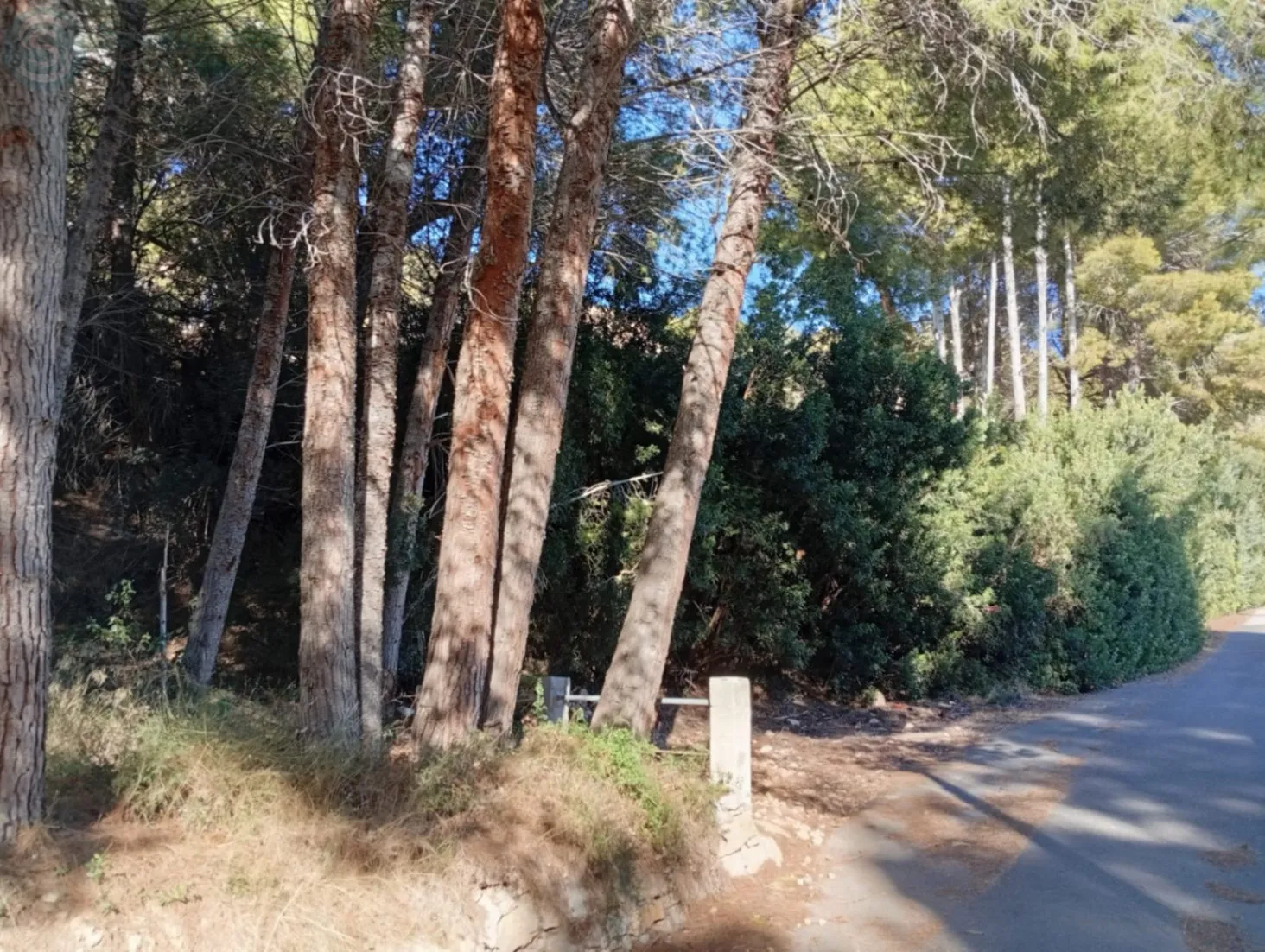 Comprar terreno en Urbanización Oltamar (Calpe)