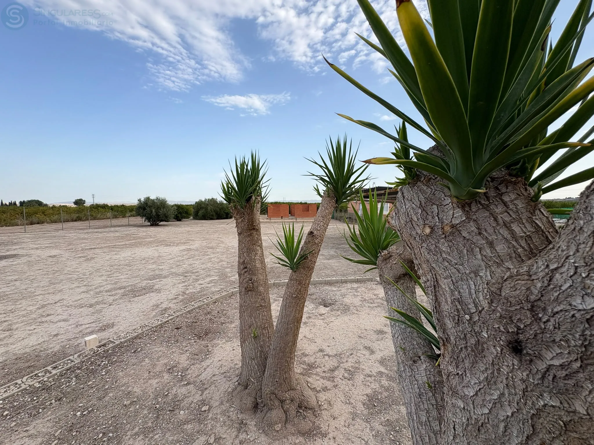 Comprar terreno de 2050m² en Alguazas