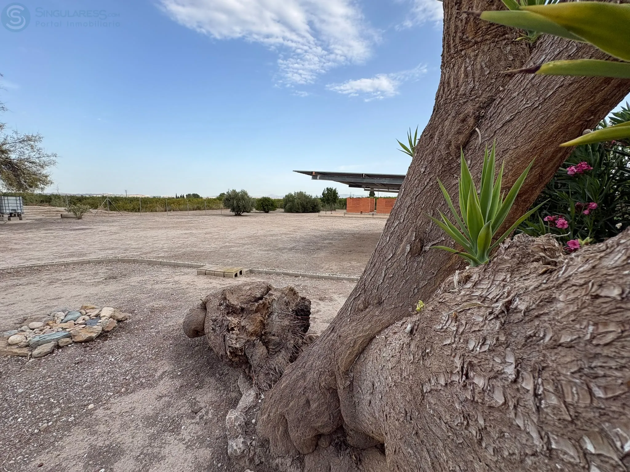 Comprar terreno de 2050m² en Alguazas