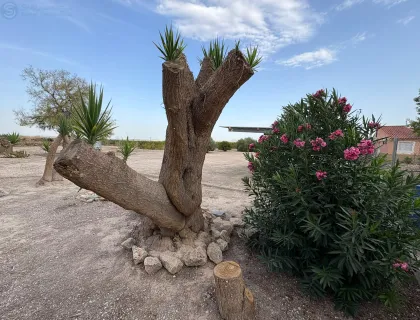 Comprar terreno de 2050m² en Alguazas