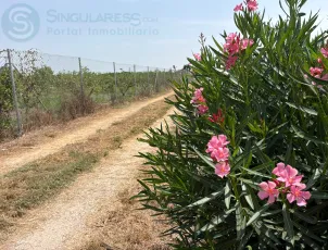 Comprar terreno de 4200m² en Santomera