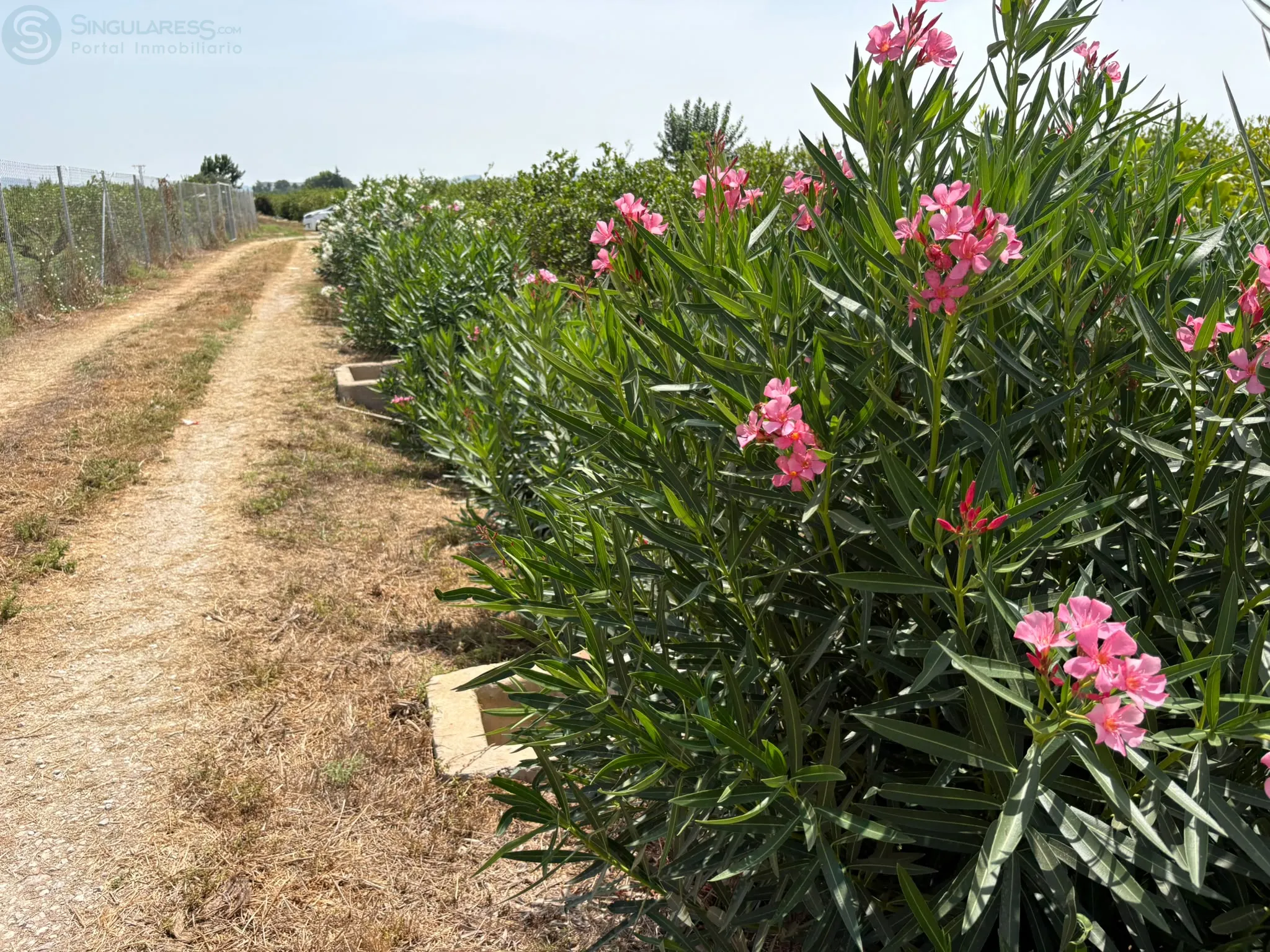 Comprar terreno de 4200m² en Santomera