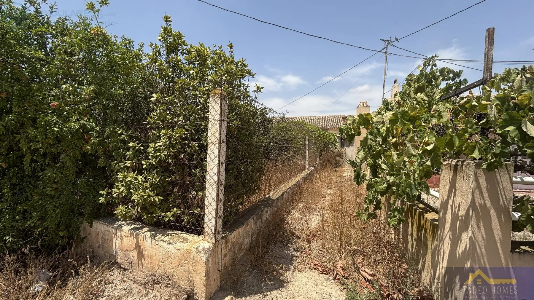 Comprar terreno en Calle Paraje Ruices nº s/n en Murcia