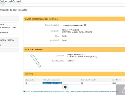 Comprar terreno de 3932m² en Murcia