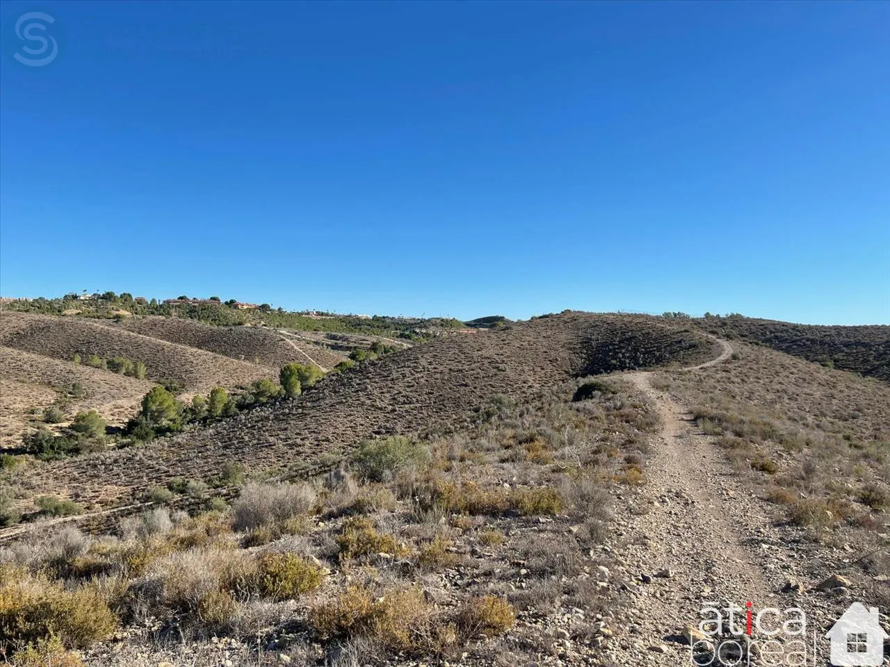 Comprar terreno en Calle EL CHORRICO en Molina de Segura