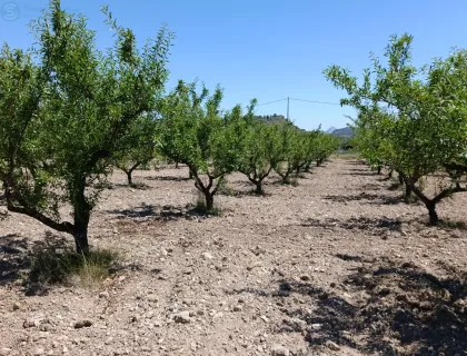 Comprar terreno de 11377m² en Murcia
