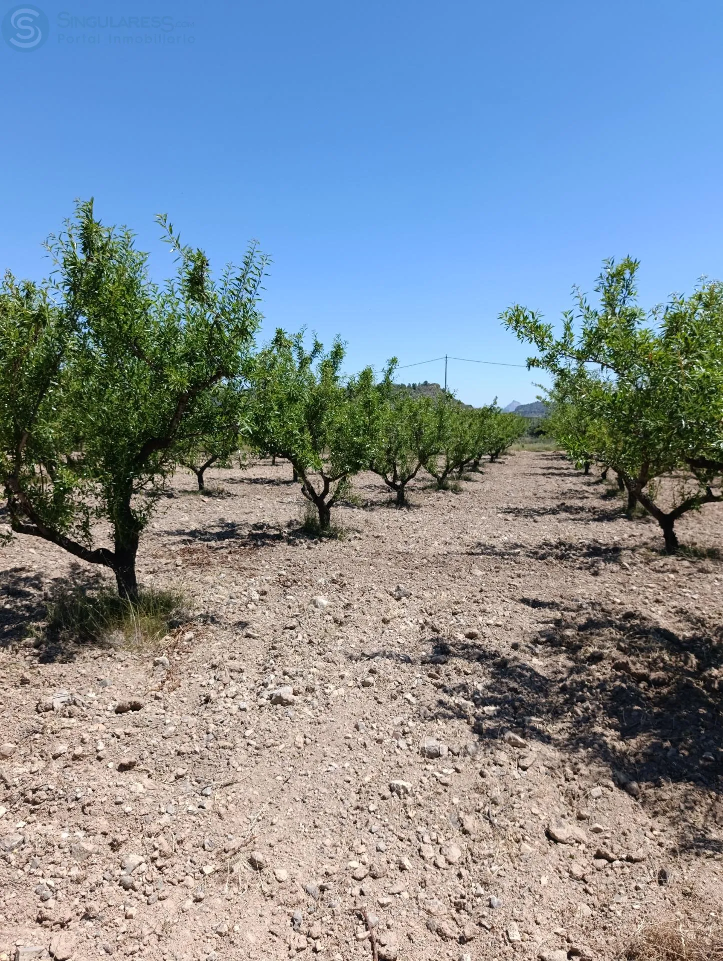 Comprar terreno de 11377m² en Murcia