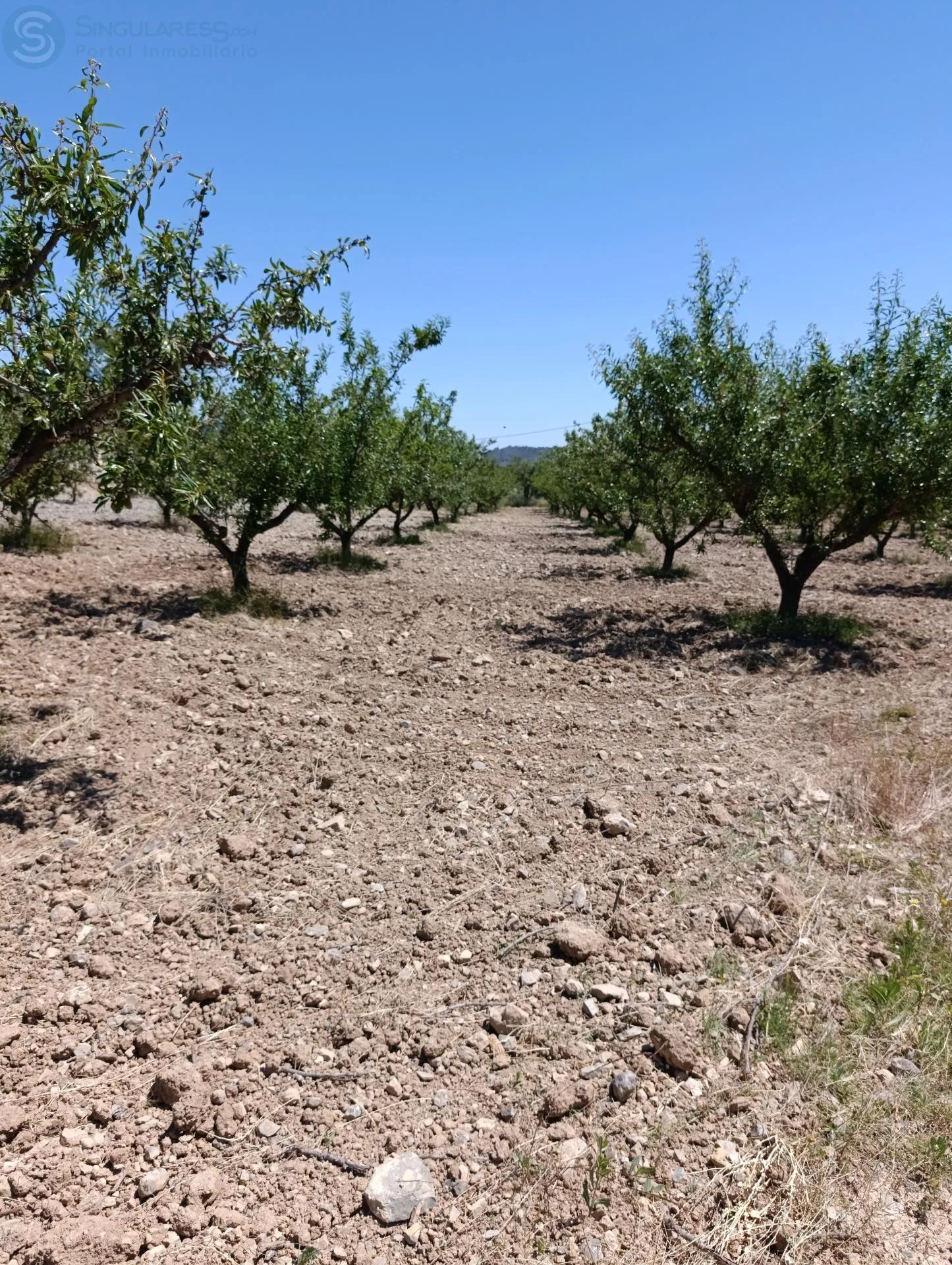 Comprar terreno de 11377m² en Murcia