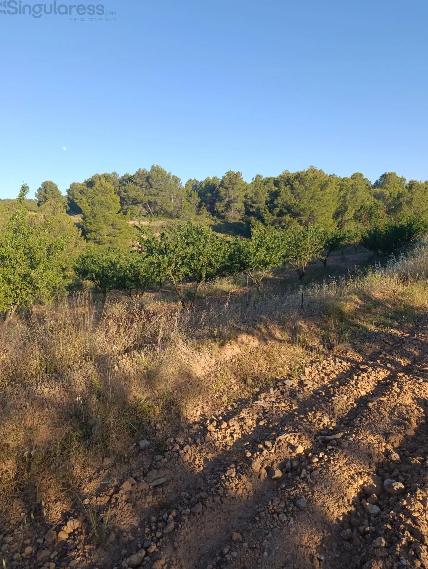 Comprar terreno de 18511m² en Cehegín