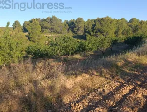 Comprar terreno de 18511m² en Cehegín