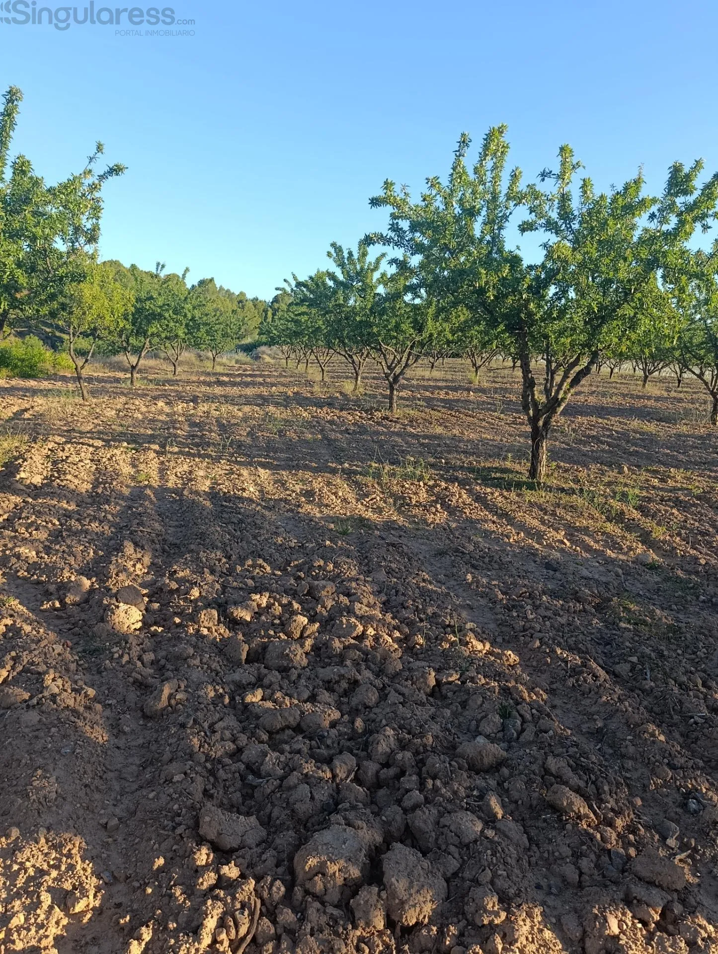 Comprar terreno de 18511m² en Cehegín