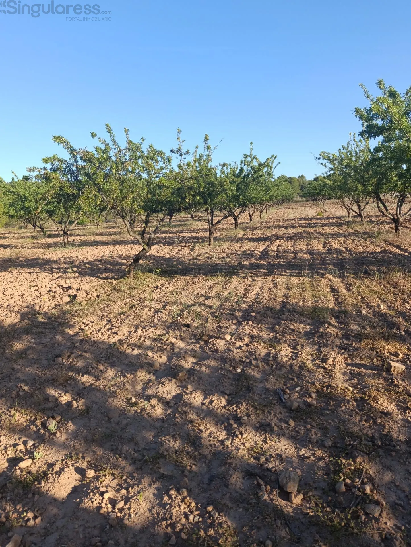 Comprar terreno de 18511m² en Cehegín