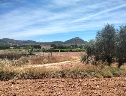 Comprar terreno de 33460m² en Cehegín