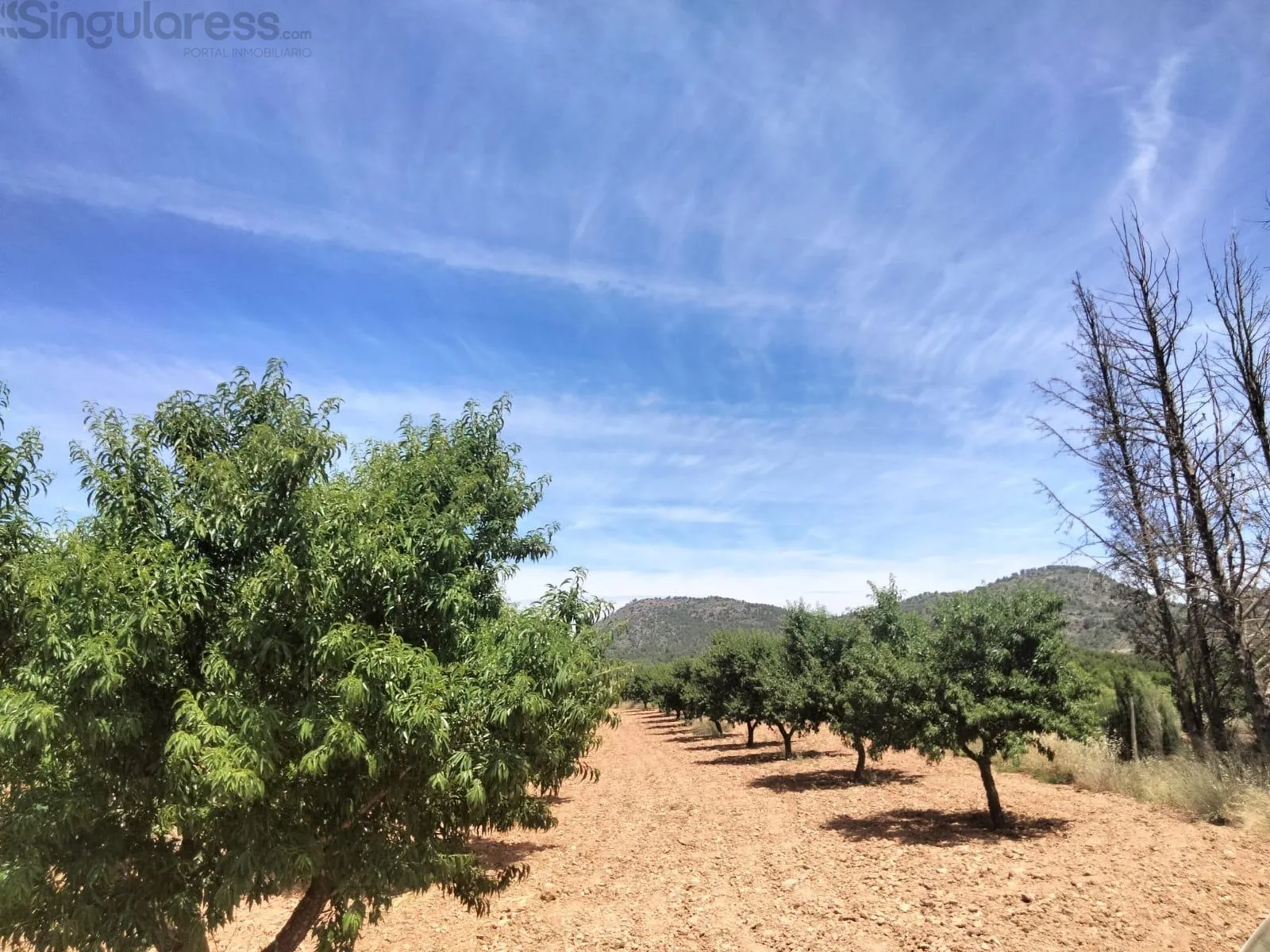 Comprar terreno de 33460m² en Cehegín
