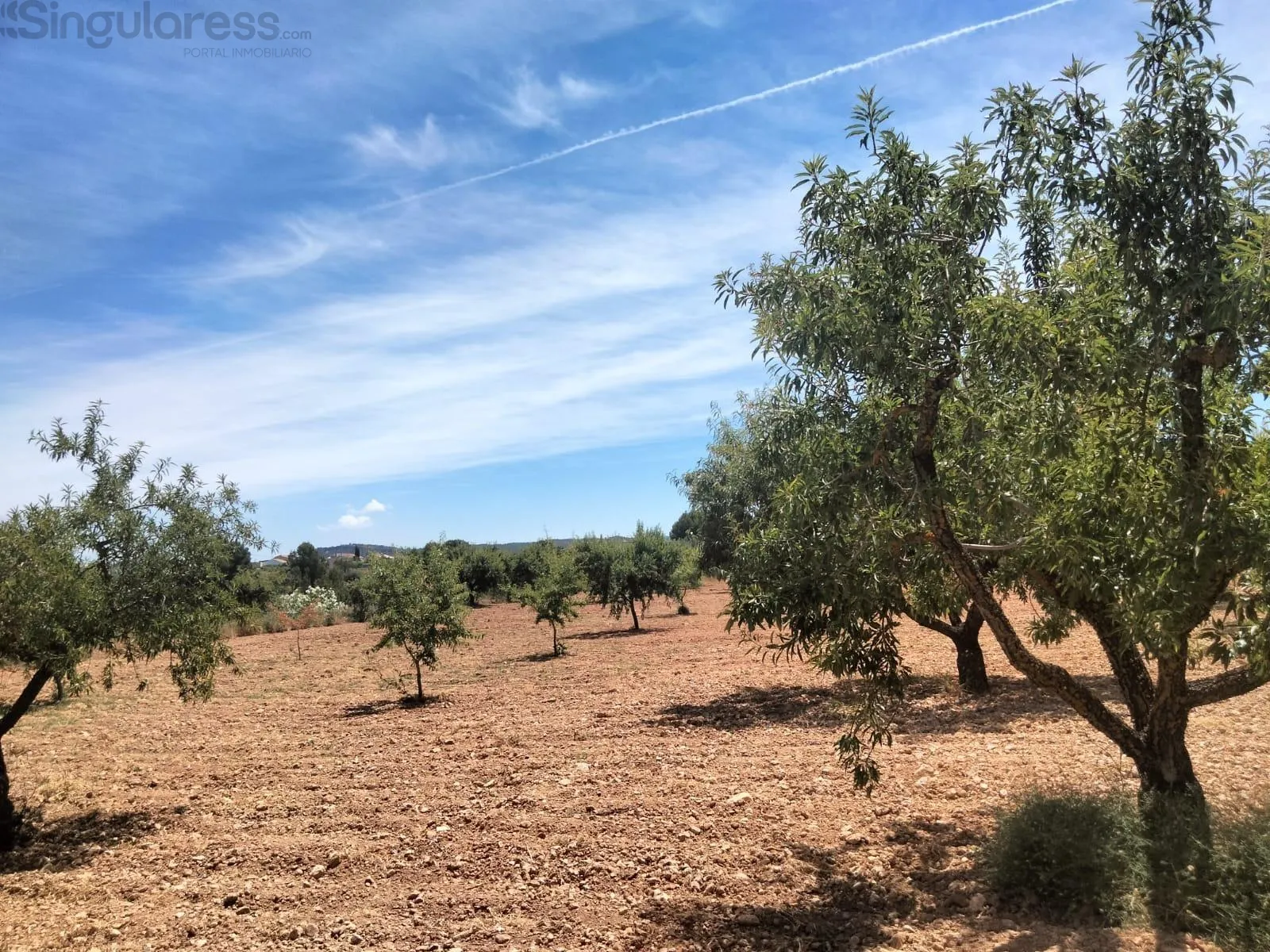 Comprar terreno de 33460m² en Cehegín