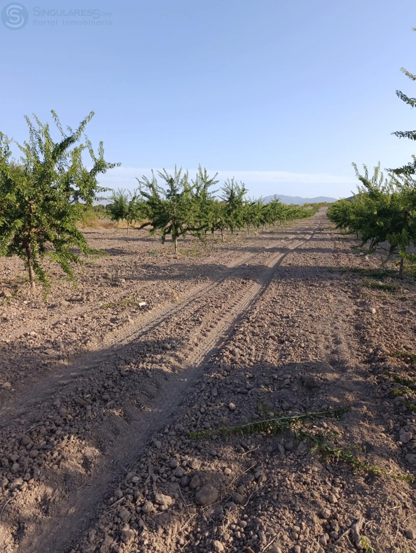 Comprar casa de 30771m² en Bullas