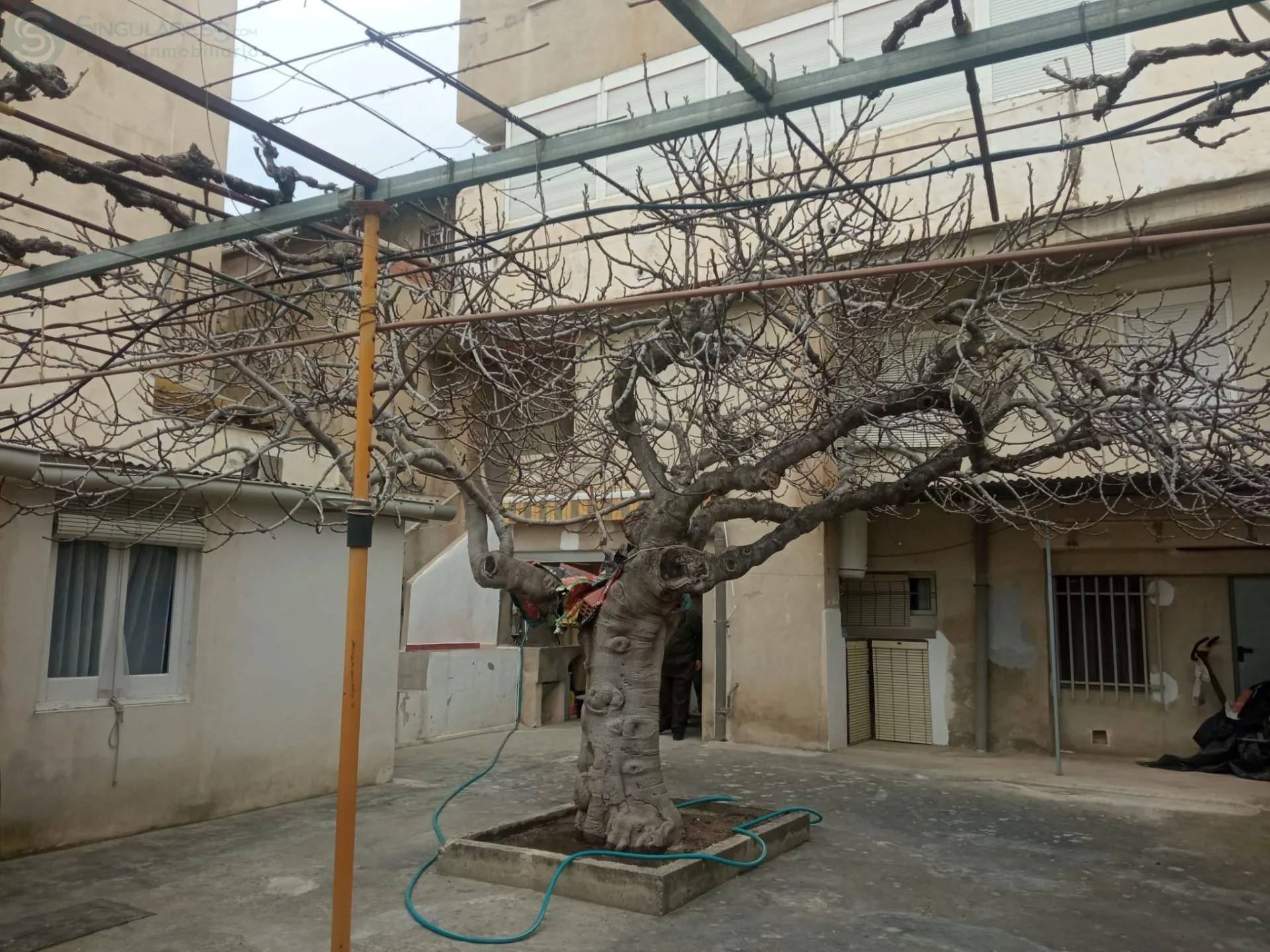 Comprar casa en Calle FRANCISCO PIZARRO nº 4 en Cehegín