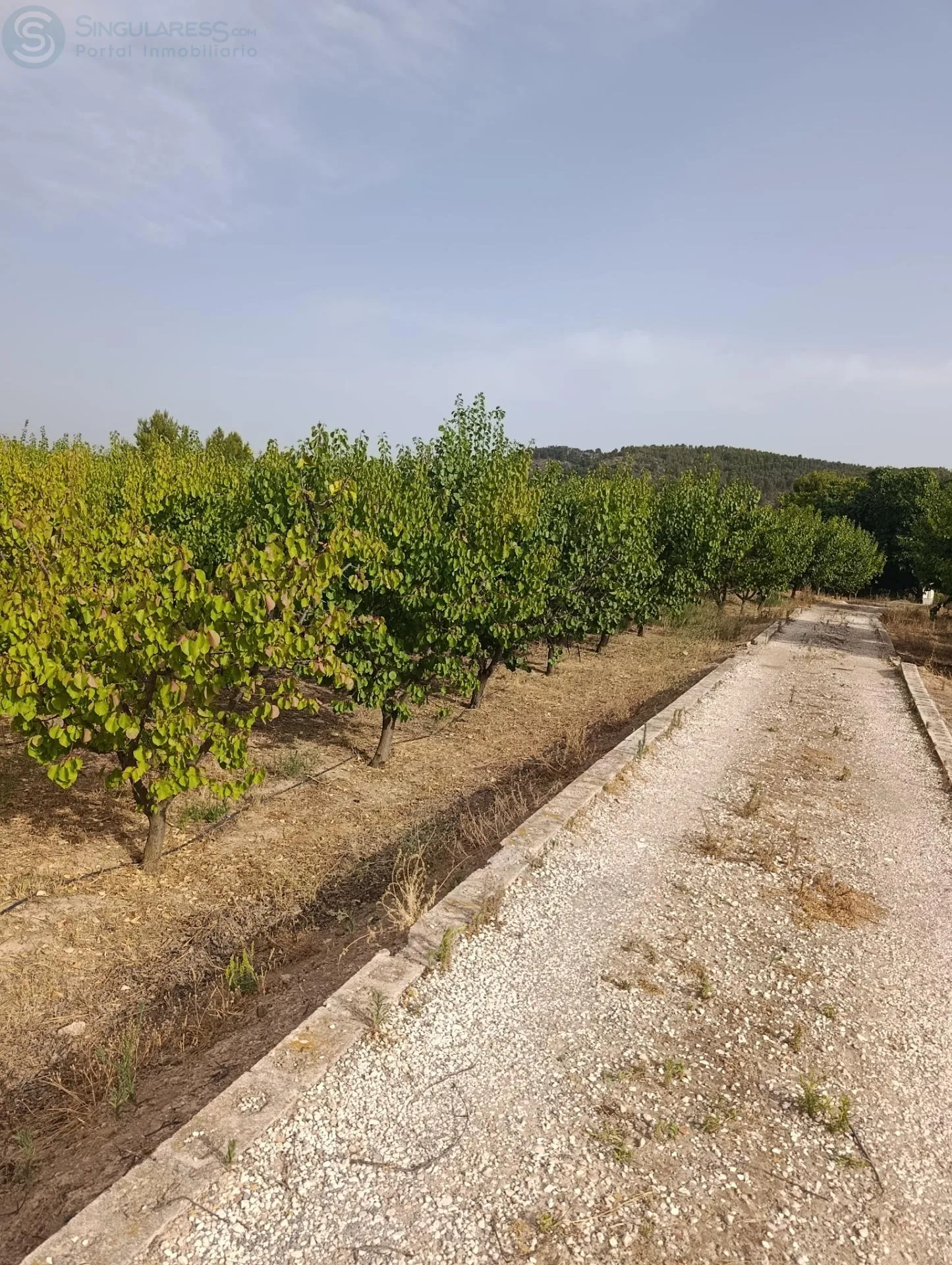 Comprar casa de 50000m² en Cehegín