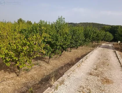Comprar casa de 50000m² en Cehegín