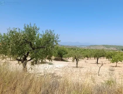 Comprar casa de 26051m² en Bullas