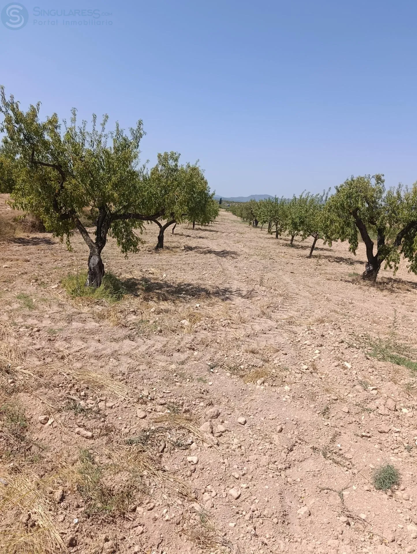 Comprar casa de 26051m² en Bullas
