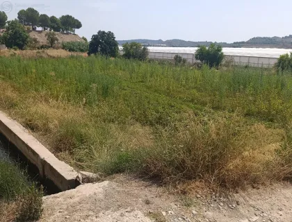 Comprar terreno de 3717m² en Cehegín