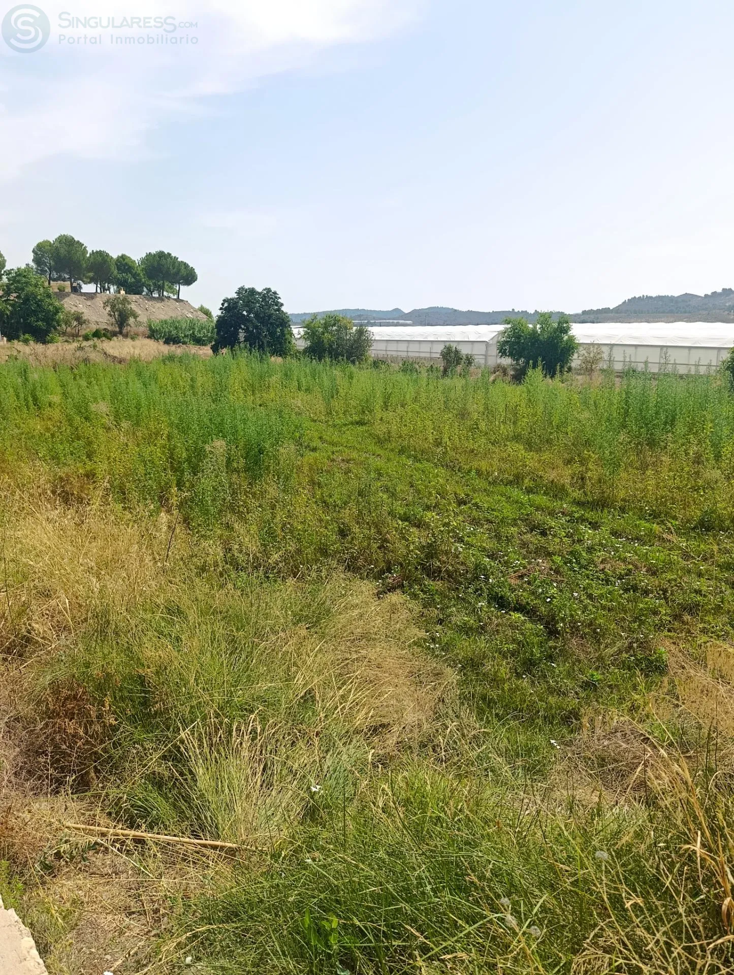 Comprar terreno de 3717m² en Cehegín