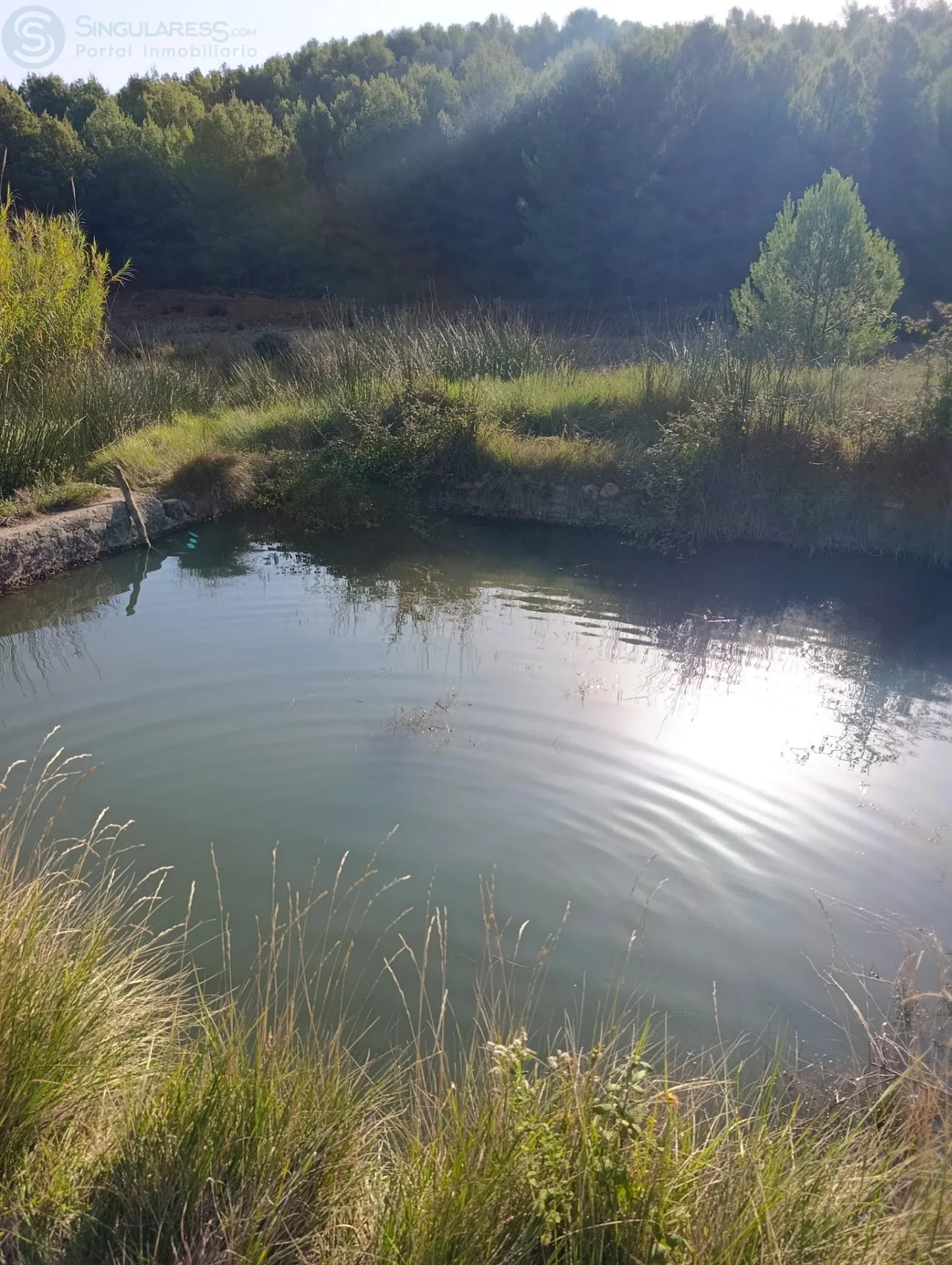 Comprar casa de 47577m² en Lorca