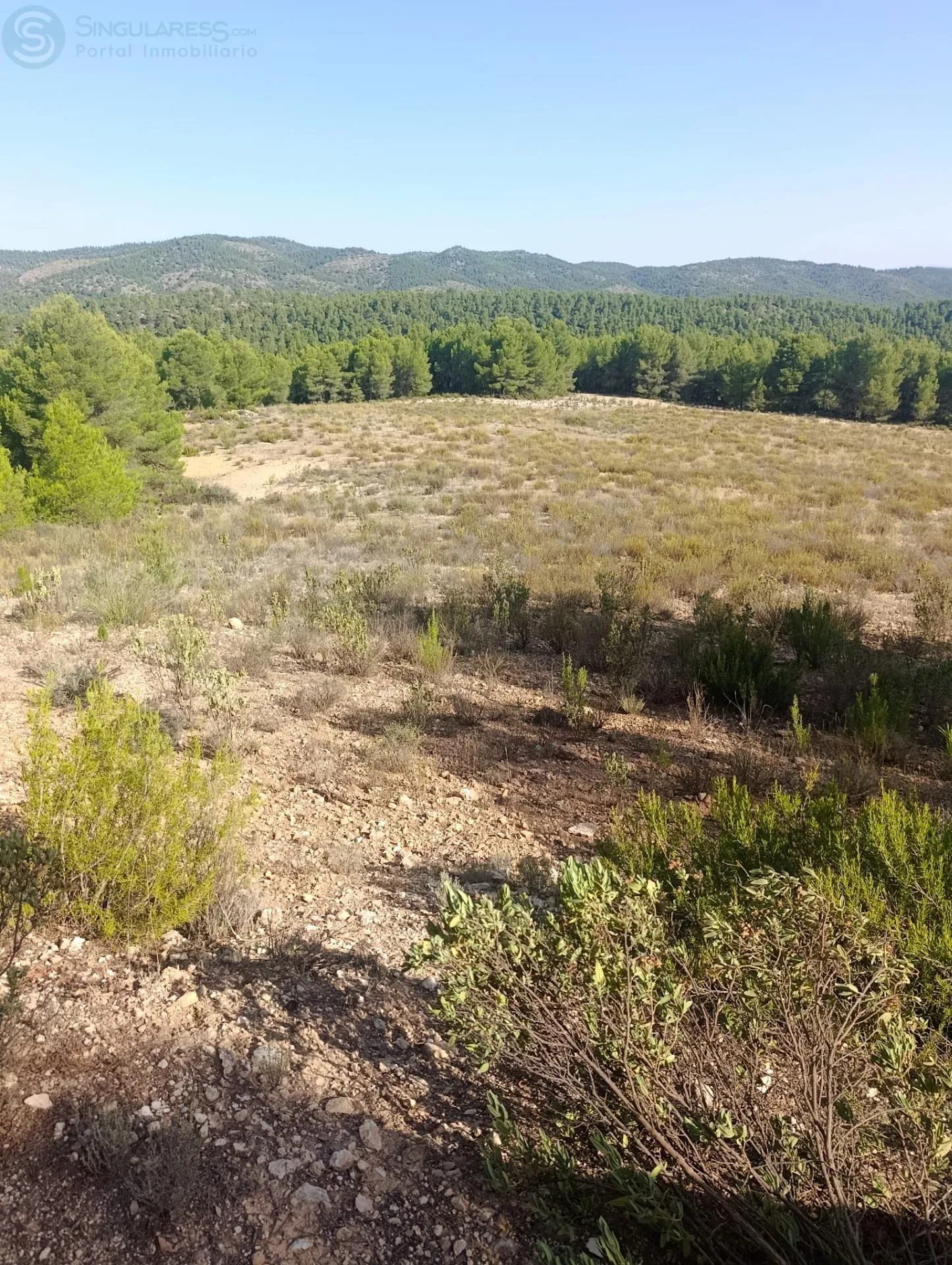Comprar casa de 47577m² en Lorca