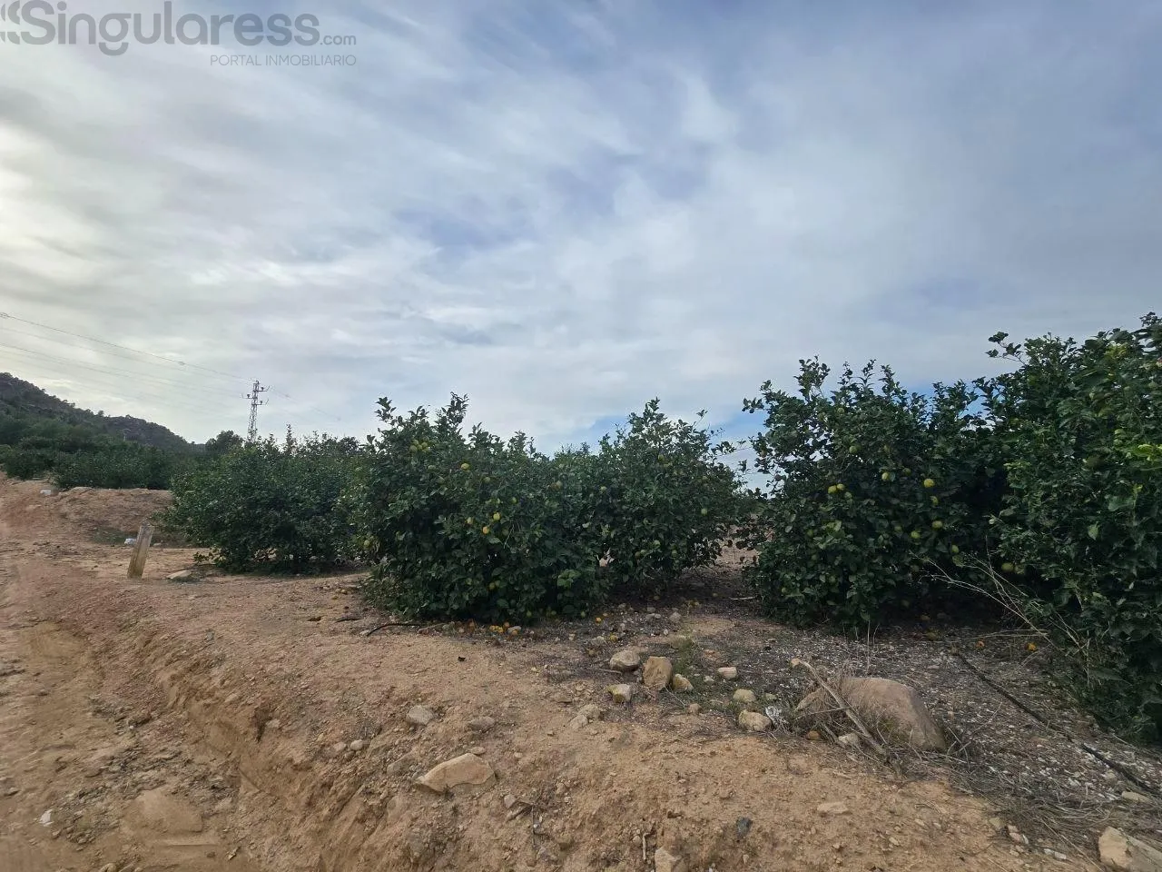 Comprar terreno en Polígono 6 nº 280 en Blanca