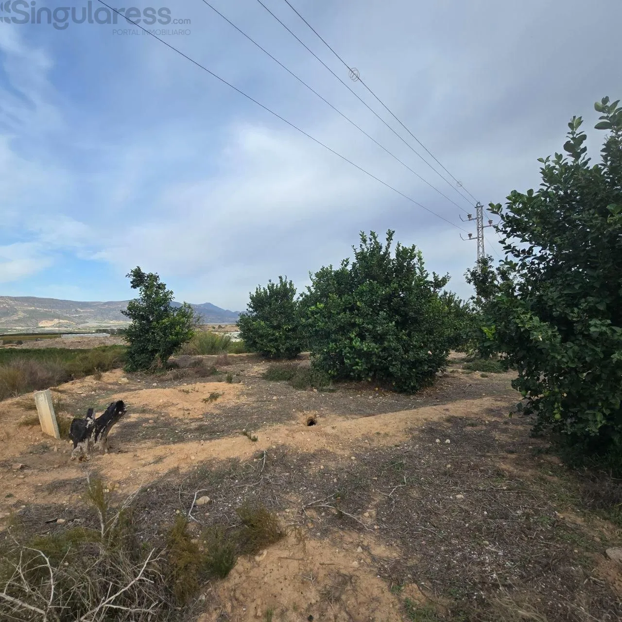 Comprar terreno en Polígono 6 nº 280 en Blanca