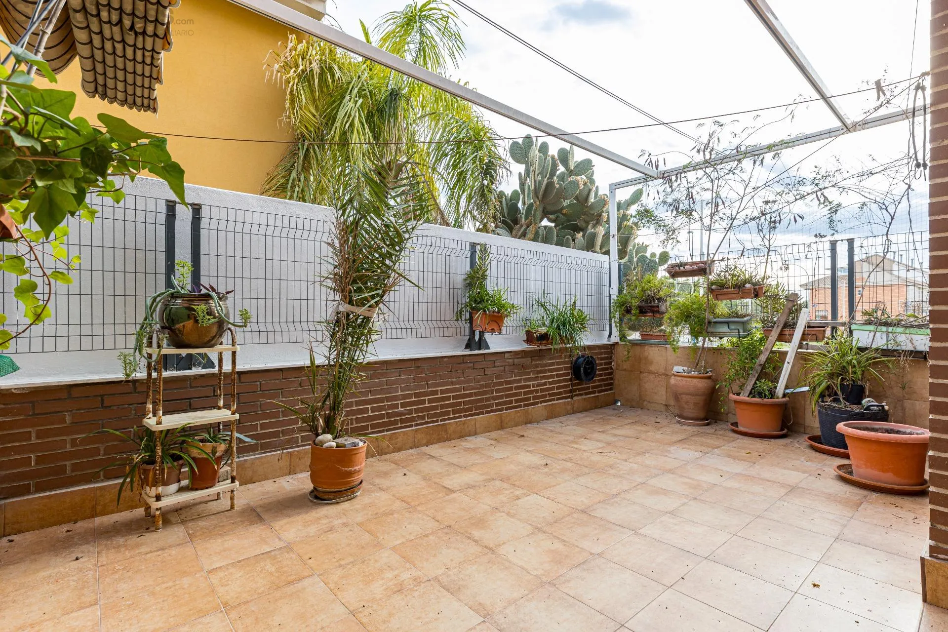 Comprar casa en Calle JUSEPE nº 2 en Murcia