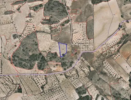Comprar terreno de 2805m² en Jumilla