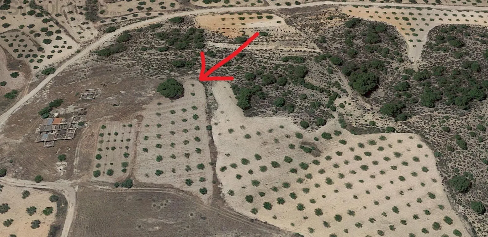 Comprar terreno de 2805m² en Jumilla