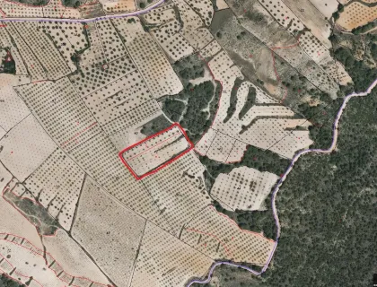 Comprar terreno de 7263m² en Jumilla