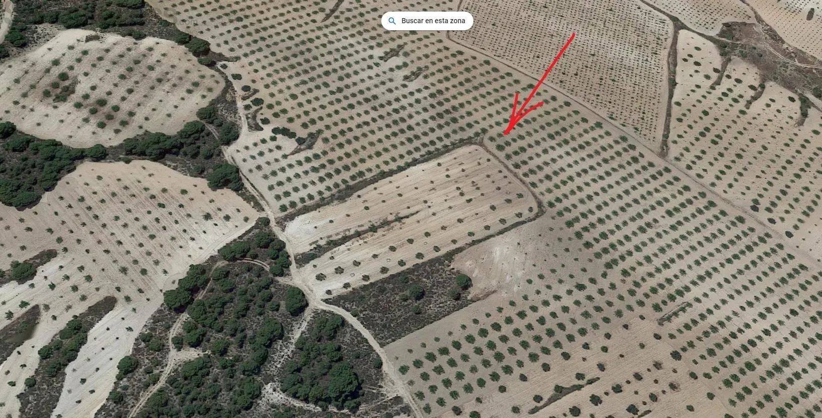 Comprar terreno de 7263m² en Jumilla