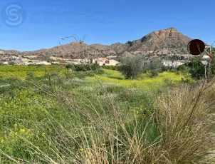 Terreno rural en COBATILLAS (MURCIA) 