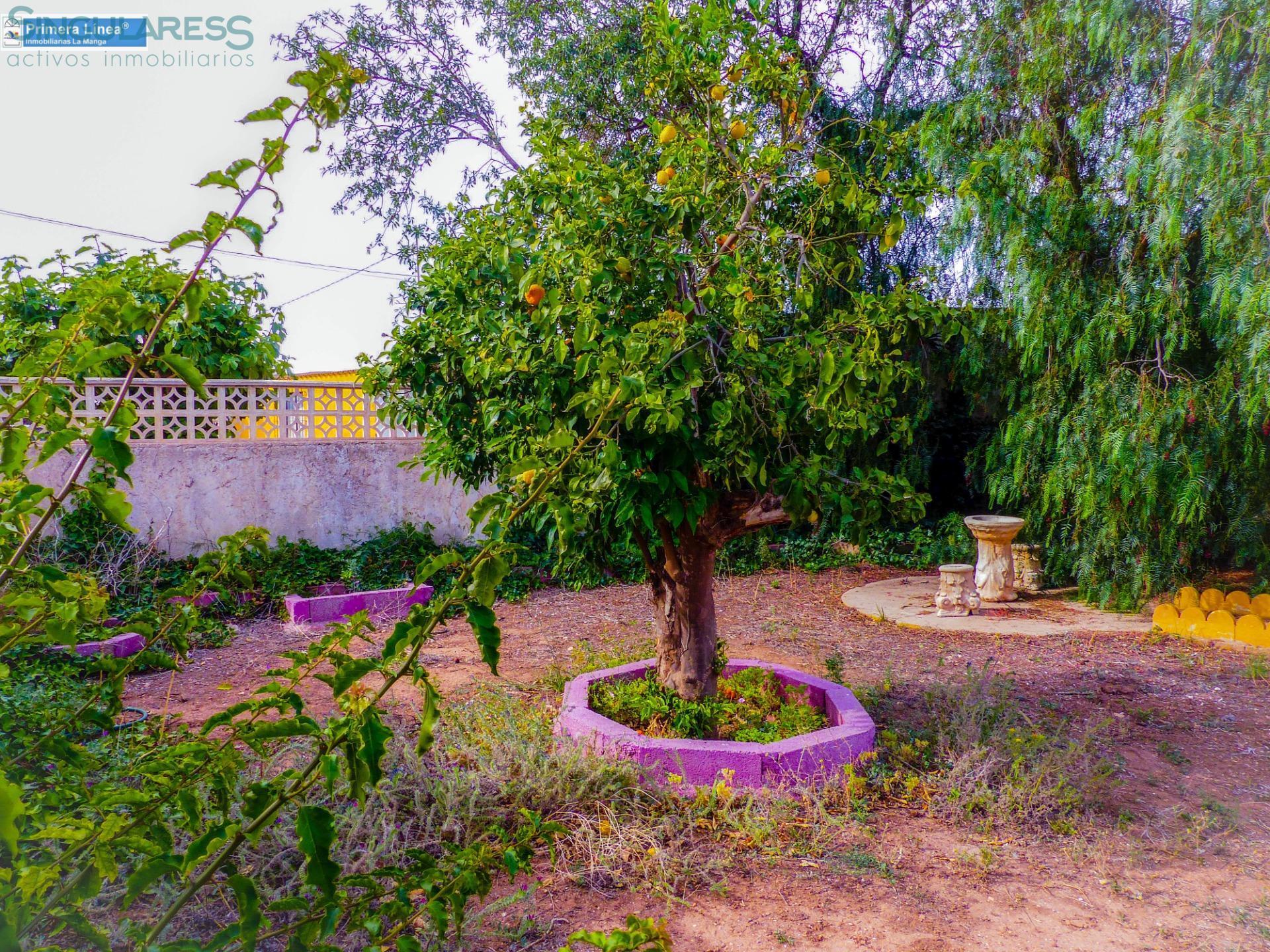 Comprar casa en Calle JORGE nº 35 en Fuente Álamo de Murcia
