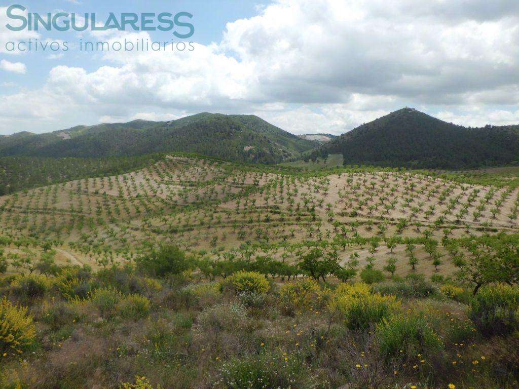 Comprar casa de 500m² en Lorca
