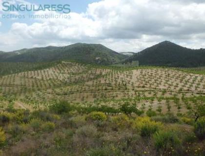 Comprar casa de 500m² en Lorca