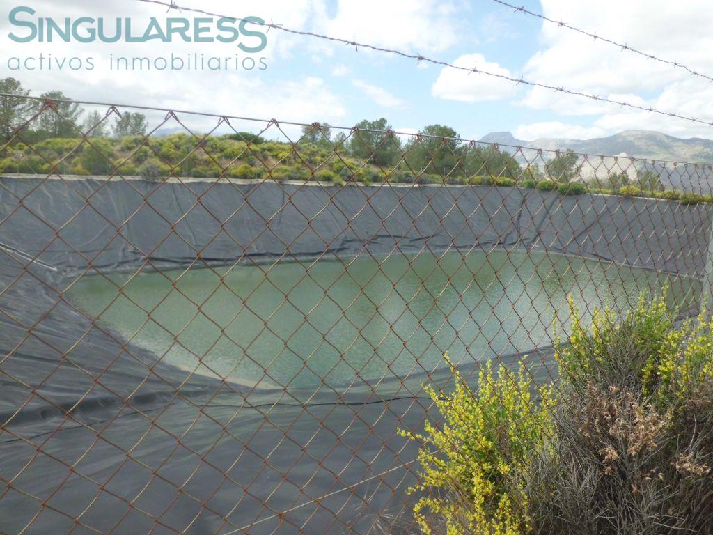 Comprar casa de 500m² en Lorca