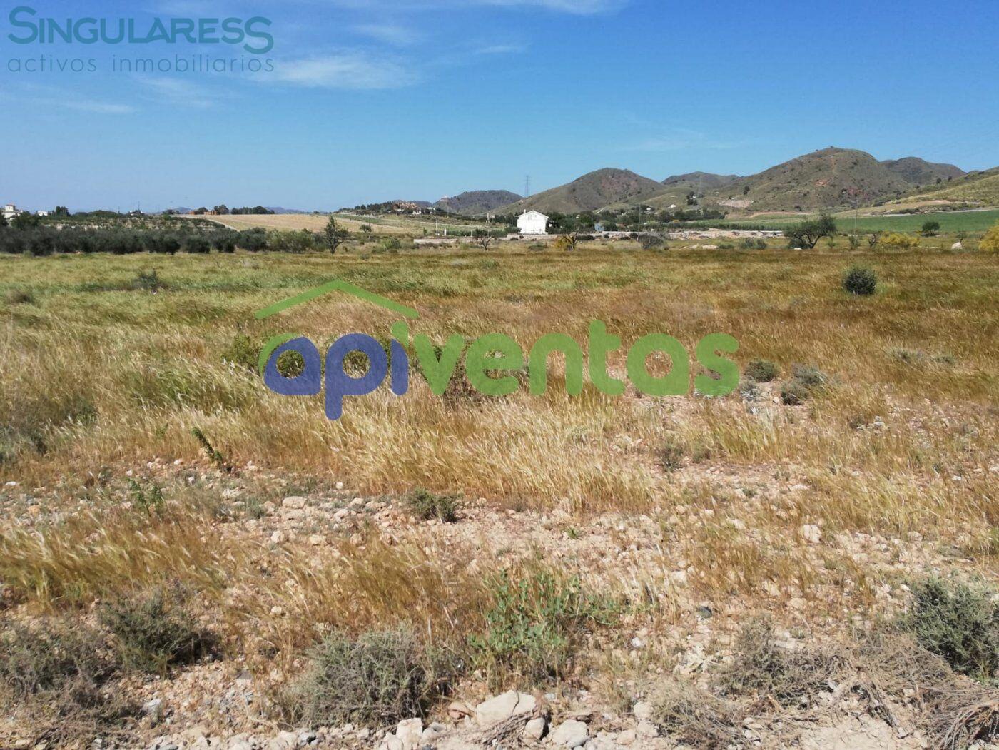 Comprar terreno en Calle Alto Purias Cam La Torre en Lorca