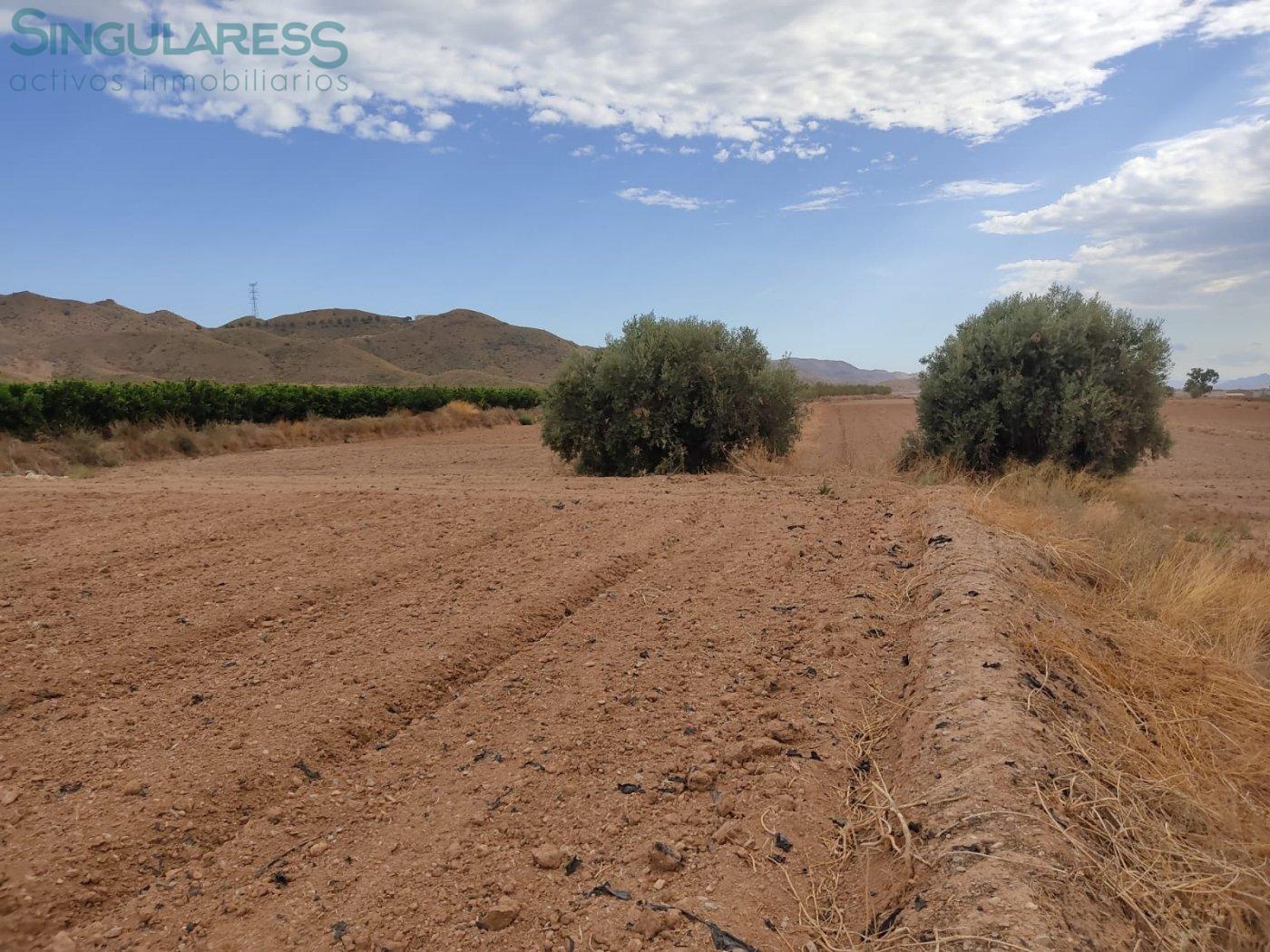 Comprar terreno de 17000m² en Lorca